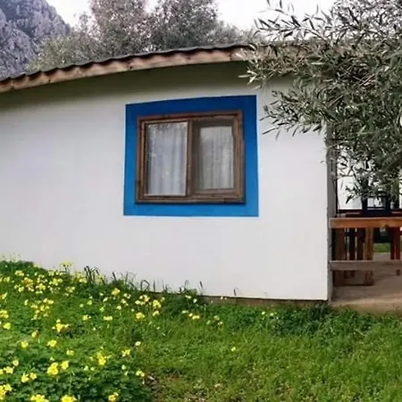 Your House Cirali